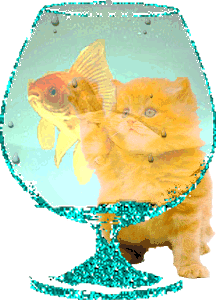 Cat-And-Fish